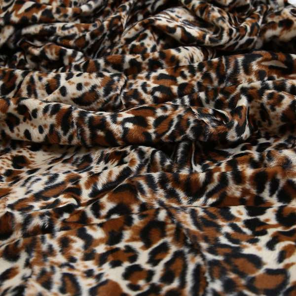 A00325 Leopard