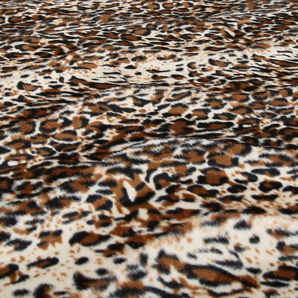 A00325 Leopard