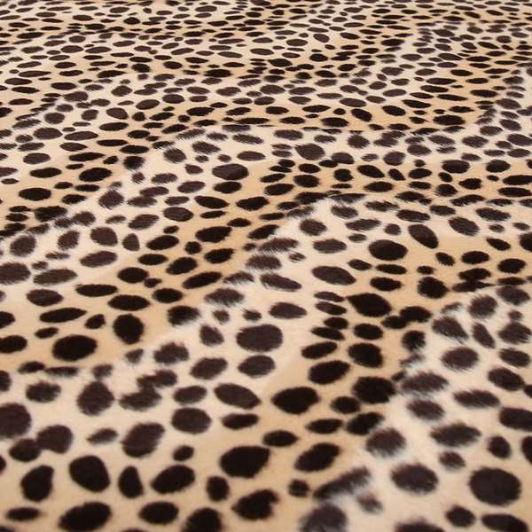 A00327 Cheetah