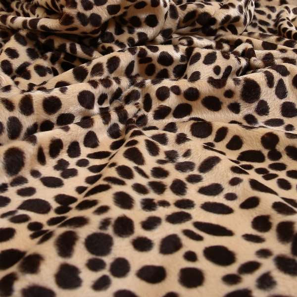 A00327 Cheetah
