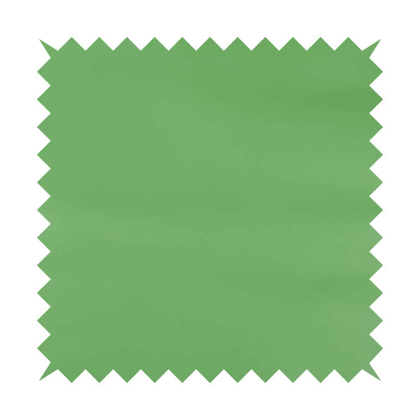A00668 Spring Green