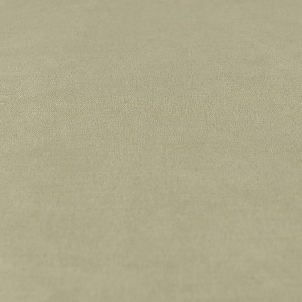 A00259 Brown