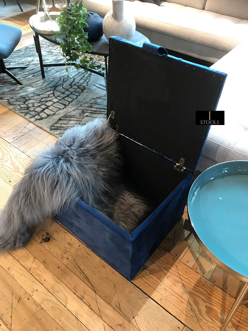 Navy Blue Living room storage