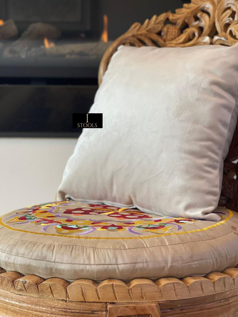 Soft Plush Velvet Cushions