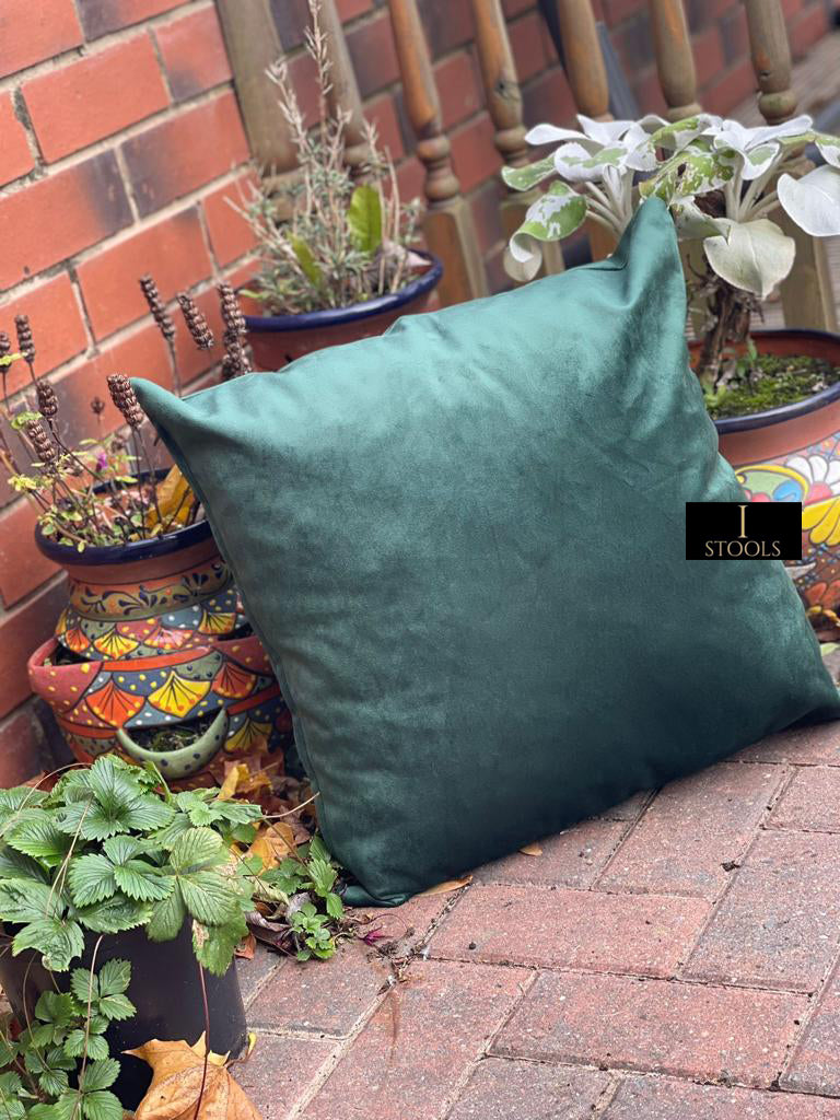 Soft Plush Velvet Cushions