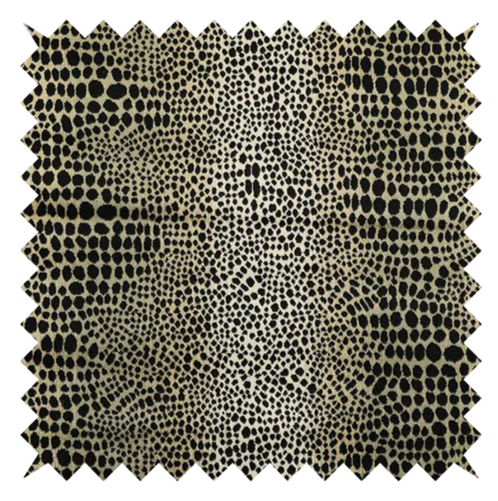 Nubani leopard