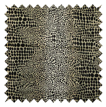 Nubani leopard