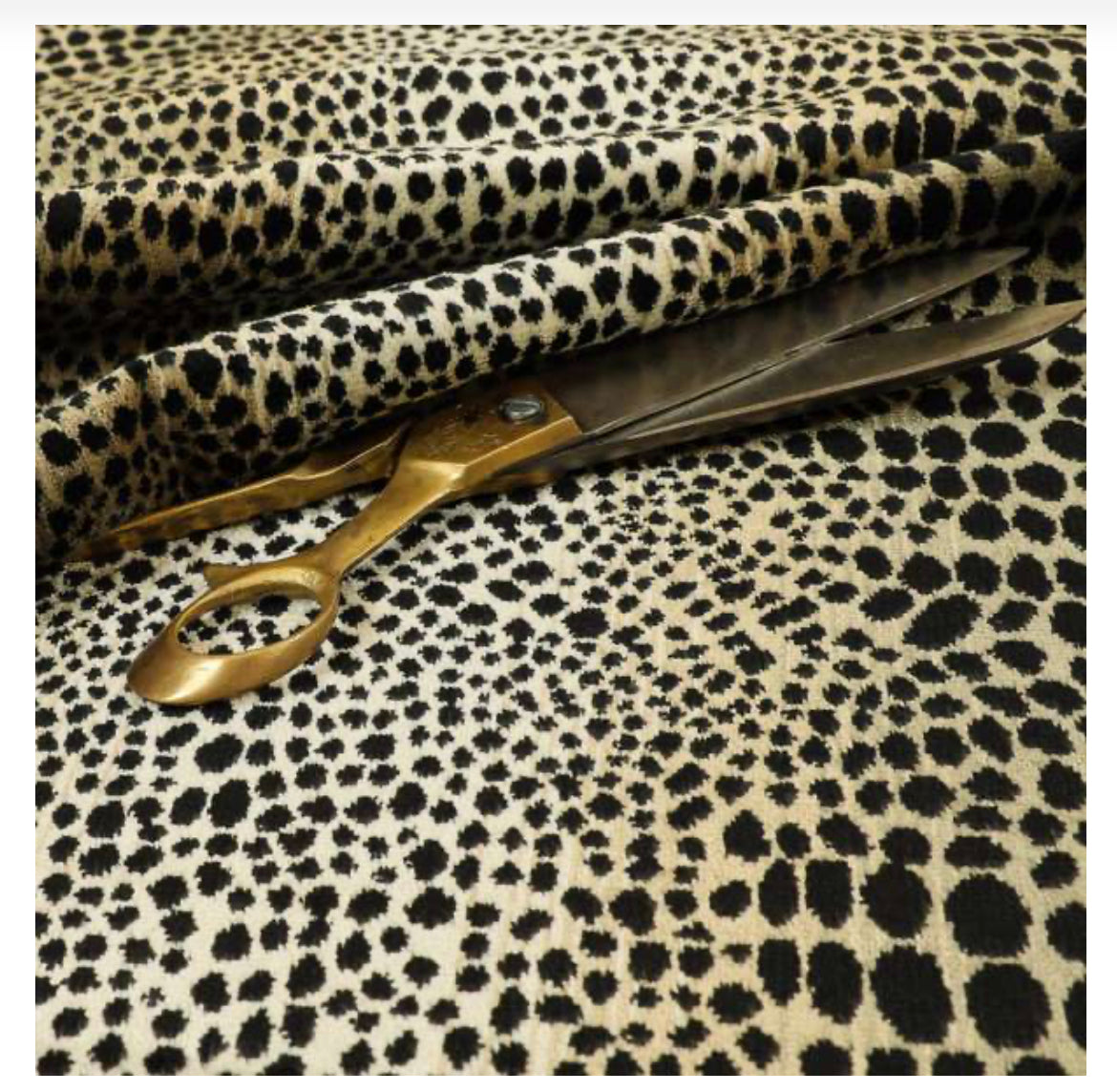 Nubani leopard