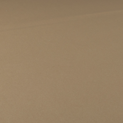 A02768 Tortilla Brown