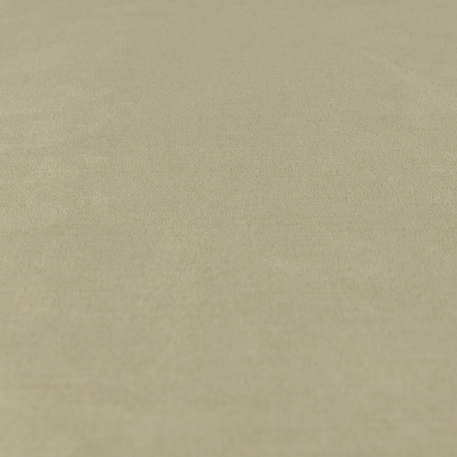 A00259 Brown