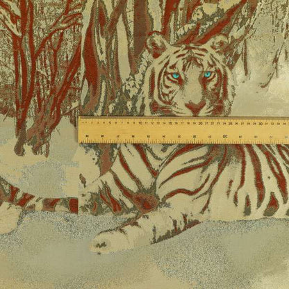 A00759 Brown Orange Blue