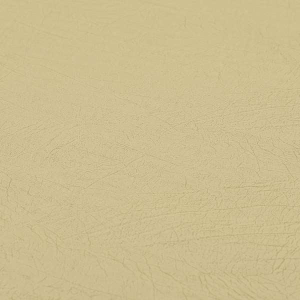 A01337 Cream