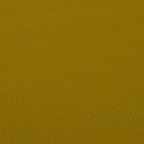 A02481 Mustard