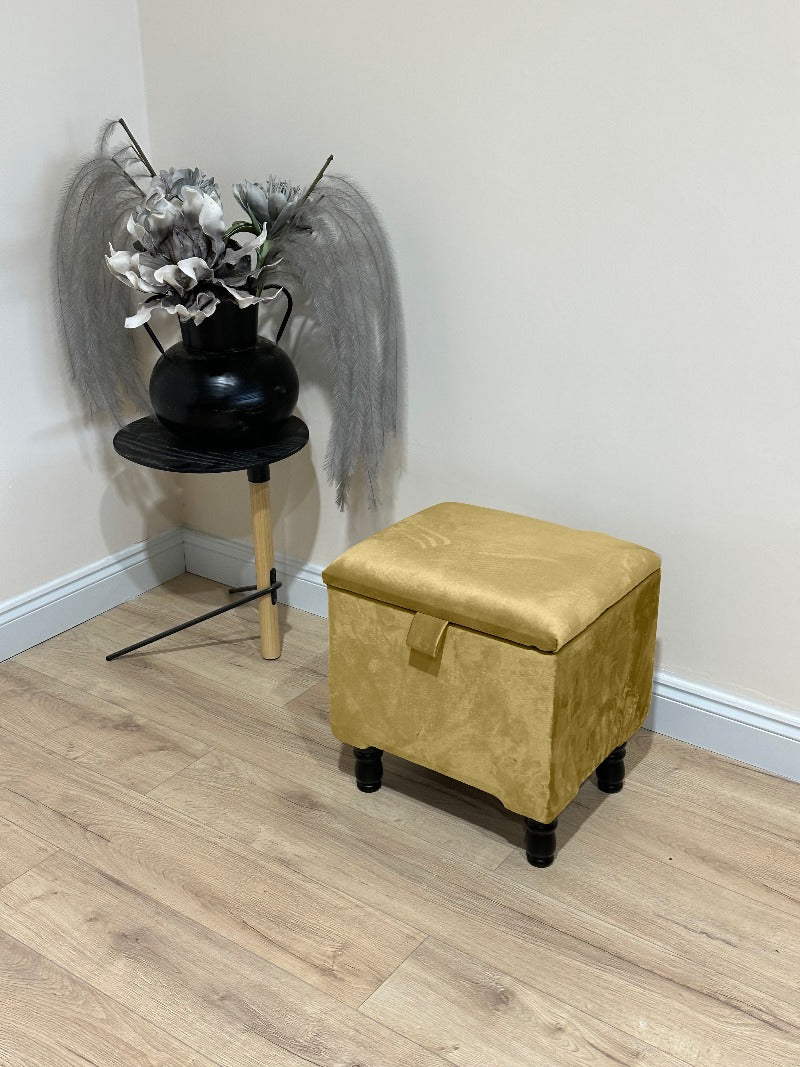 Mustard Gold Plain Living room storage 