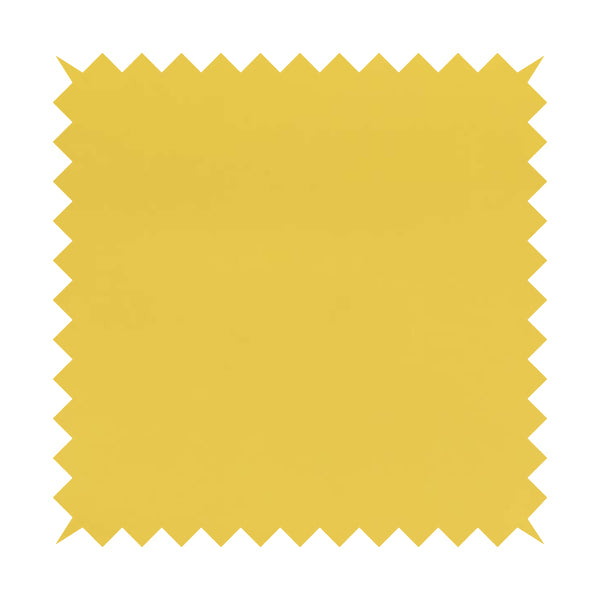 A03151 Yellow Mustard