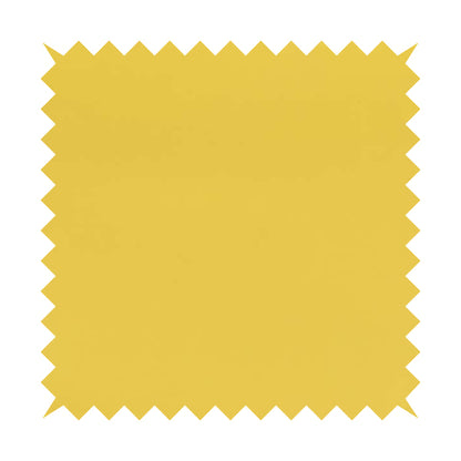 A03151 Yellow Mustard