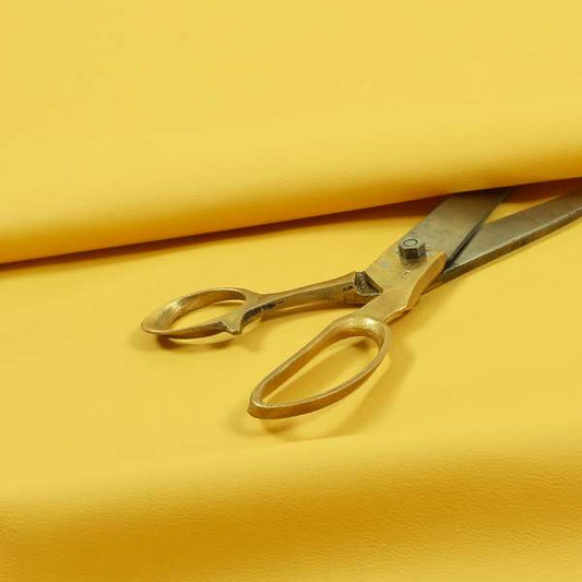 A03151 Yellow Mustard