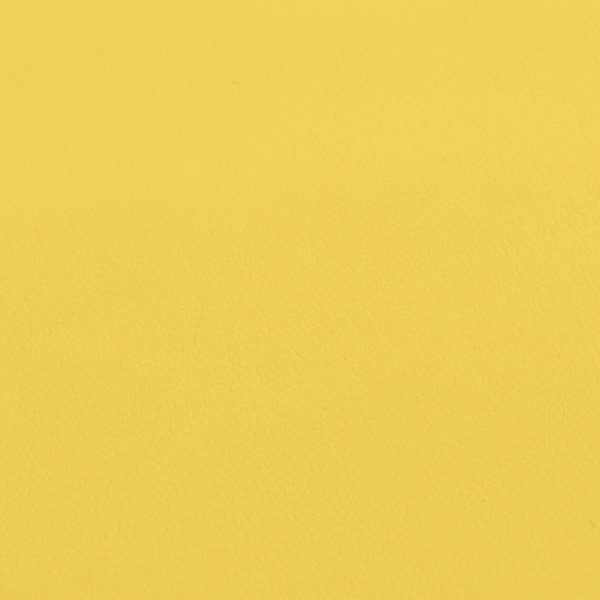A03151 Yellow Mustard