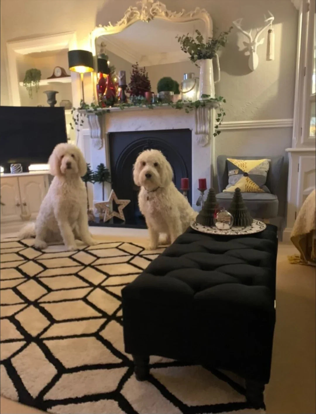 Black Ottoman Coffee Table Storage Bench | Black Bedroom Ottoman & Pouffe