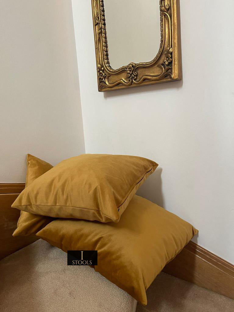 Soft Plush Velvet Cushions