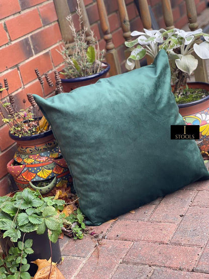 Soft Plush Velvet Cushions